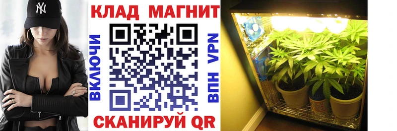 Галлюциногенные грибы Котельники