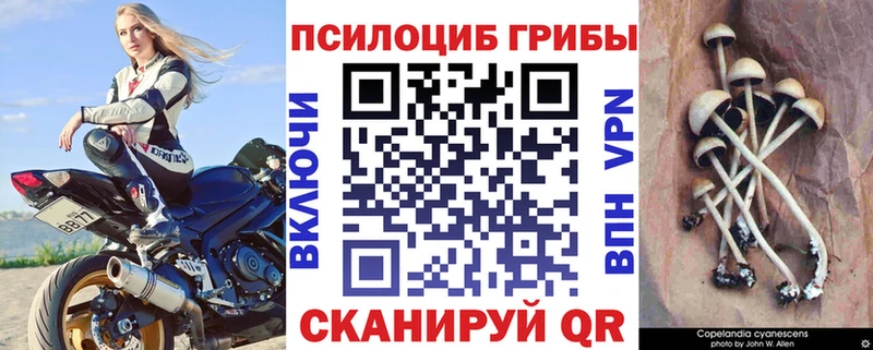 Галлюциногенные грибы GOLDEN TEACHER  магазин продажи   Котельники 