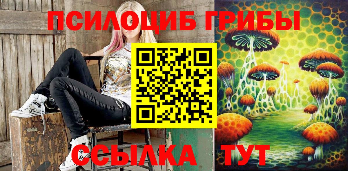 наркотики  Псилоцибиновые грибы GOLDEN TEACHER  Вход с VPN  Котельники 